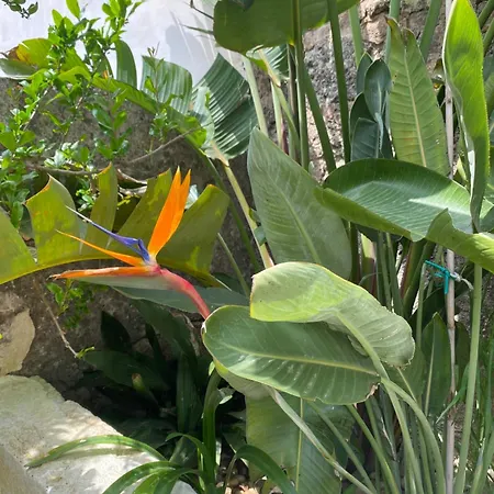 Dimora Rosa Presicce