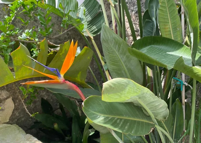 Dimora Rosa 普雷西切